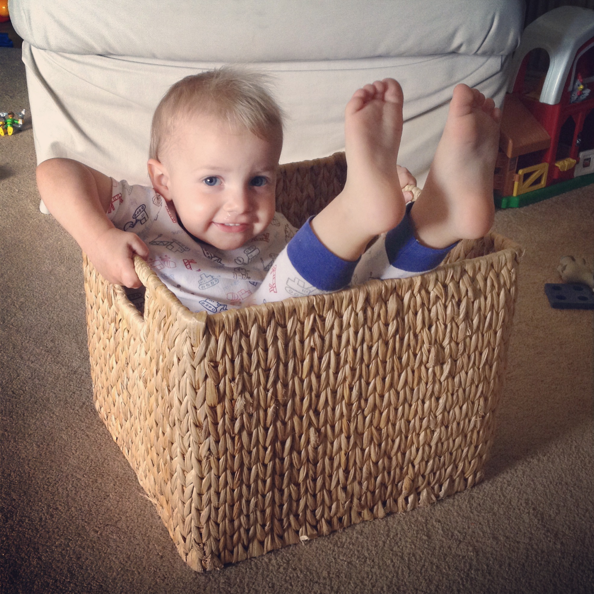 Asher in a basket