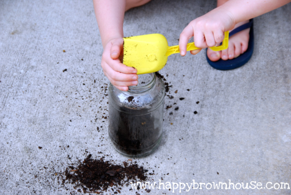 setting up a worm habitat observation