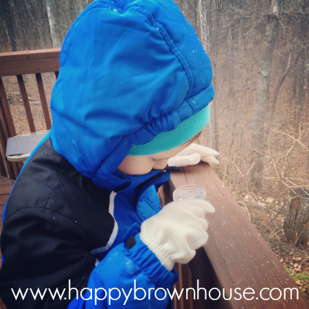 Observing snow with a magnifying glass like Snowflake Bentley