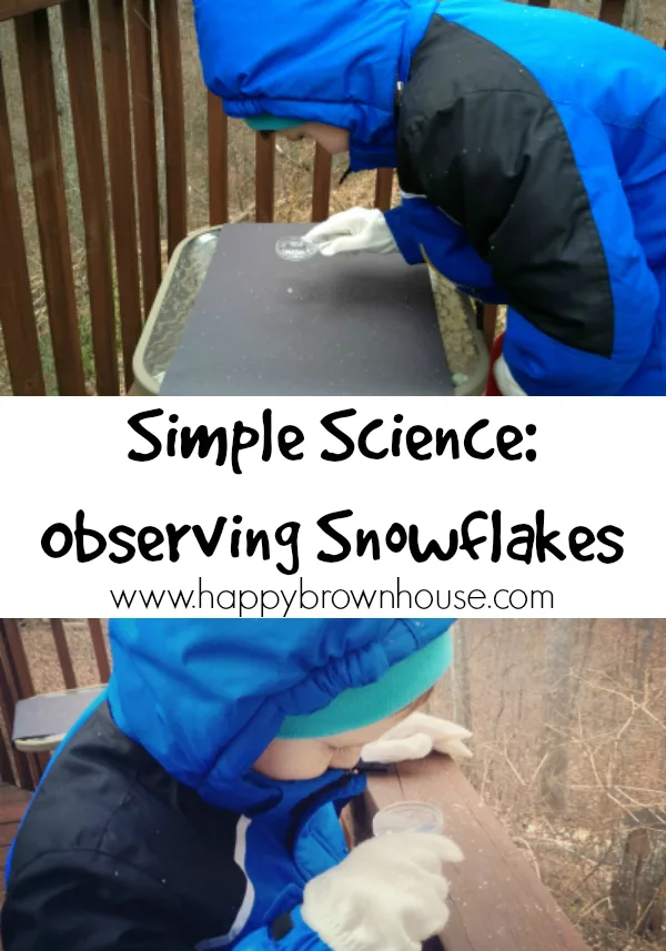 The magic of snowflakesand the science behind them! - Look