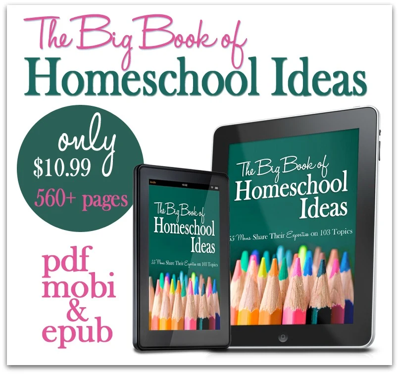 The Big Book of Homeschool Ideas--55 moms share their expertise on 103 topics