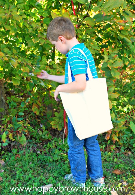 boy carrying nature walk bag looking at leaves on a nature walk