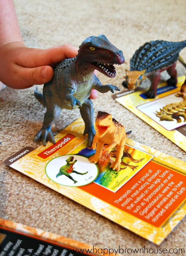 dinosaur fact cards matching