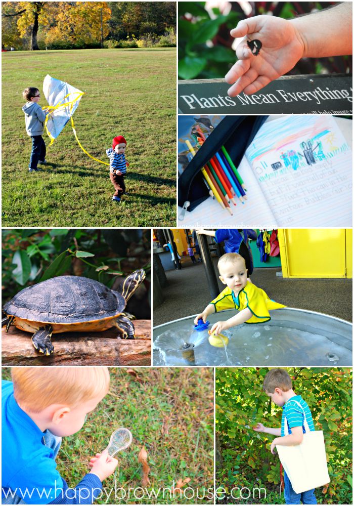 collage of field trip close ups, children with kite, nature journal, hand with butterfly, turtle, Chattanooga Children\'s Discovery Museum, child looking through magnifying glass for insects, and tree identification on a nature walk