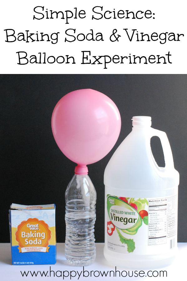 Pink inflated balloon attached to a water bottle with baking soda and vinegar on a black background, baking soda and vinegar balloon experiment