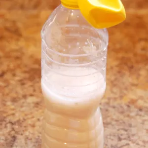 Clear plastic water bottle with a mixture of sugar and yeast bubbling inside, yellow deflated balloon is attached to the top of the water bottle