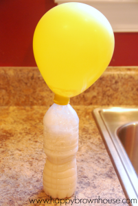 Sugar & Yeast Balloon Experiment | Happy Brown House