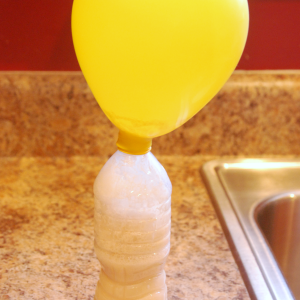 Yeast Balloon Experiment medium balloon - Happy Brown House