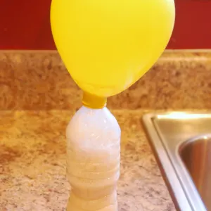 Inflated yellow balloon attached to the top of a clear water bottle with a bubbling mixture of sugar and yeast inside