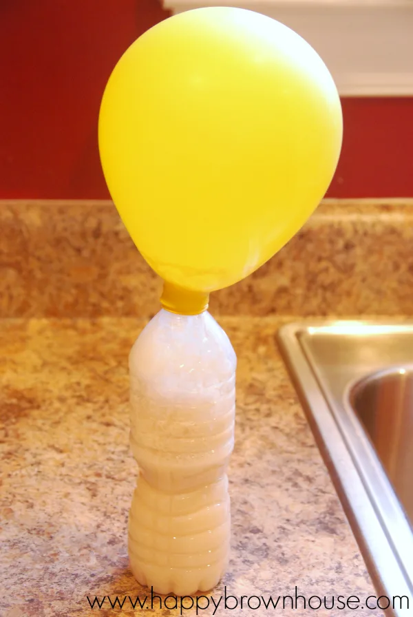 Inflated yellow balloon attached to the top of a clear water bottle with a bubbling mixture of sugar and yeast inside