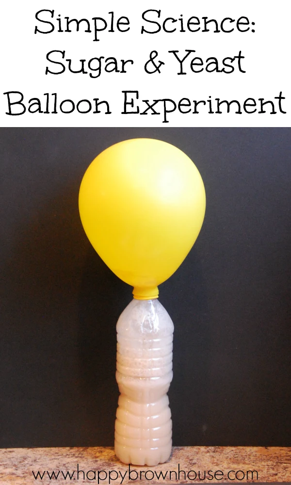 Simple Science: Sugar and Yeast Balloon Experiment, Yellow inflated balloon attached to a plastic water bottle in front of a black background