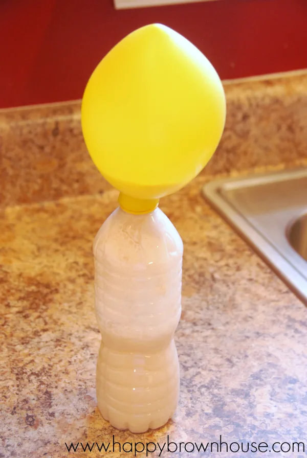 Clear water bottle full of a bubbling mixture of sugar and yeast that has created a reaction to inflate the yellow balloon attached to the bottle