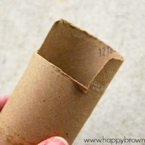 close up of toilet paper roll cut detail