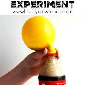 close up of a yellow balloon partially inflated and attached to a Coke bottle for a soda and candy balloon science experiment