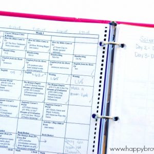 A glimpse inside my DIY homeschool lesson plan book.